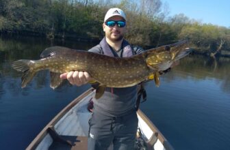 French anglers off to a fine start on pike trip to Co. Longford | Fishing in Ireland