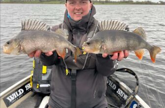 Big Perch and Pike on Lough Derg | Fishing in Ireland
