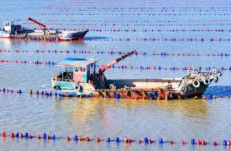 Federal judge hits the brakes on Trump’s plan to fast-track industrial fish farming | Hatch Magazine