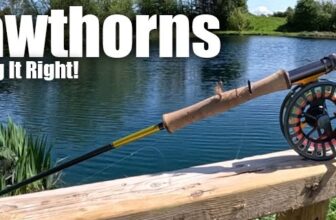 How to Fish Hawthorn Flies for Stillwater Trout with Steve Cullen