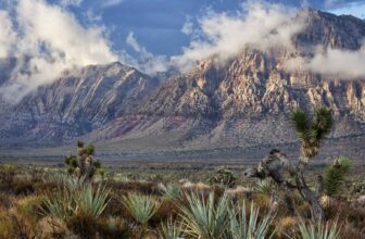 Are U.S. public lands on the chopping block? | Hatch Magazine