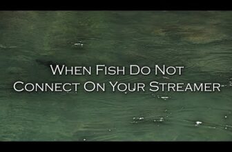 TOM’S TIPS – Tough Streamer Days – They Happen