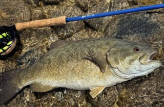 A Long Walk on the Beach
