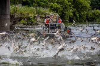 Toxic waste stands in the way of protecting the Great Lakes from invasive carp | Hatch Magazine