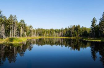 Cooper’s year | Hatch Magazine