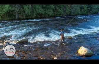 CATCH MAGAZINE – Finnish Troutland