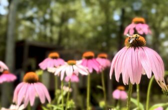 Remember | Hatch Magazine – Fly Fishing, etc.