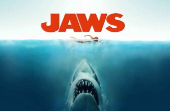 Jaws turns 50: Has the iconic film played a role in the dramatic decline in shark populations? | Hatch Magazine