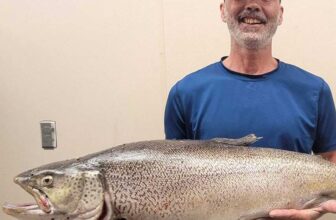 Wyoming Angler Lands State-Record Tiger Trout