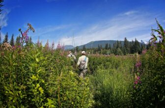 What is the Roadless Rule? | Hatch Magazine