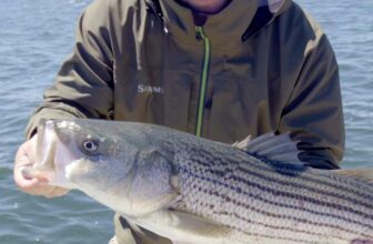 Top 10 Striper Flies That Catch Fish in 2025