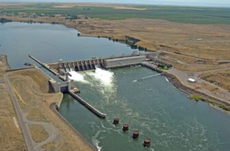 Salmon, tribal sovereignty and energy collide as Trump admin abandons Resilient Columbia Basin Agreement | Hatch Magazine