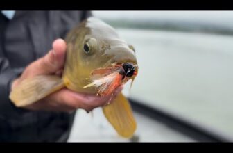 The Fiberglass Manifesto: FISHBEER – Periodical Cicada Syllabic Verse