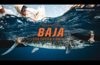 The Fiberglass Manifesto: Simms Presents