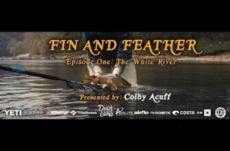 The Fiberglass Manifesto: FIN AND FEATHER