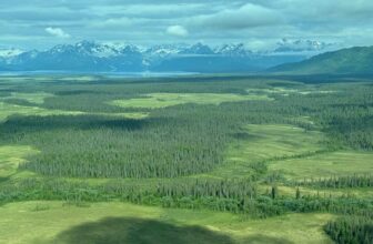 Senator Withdraws Proposal to Sell Off Public Land