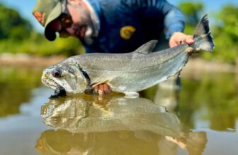 Teeth: Fishy predators you need to catch at least once | Hatch Magazine