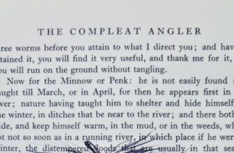 The Fiberglass Manifesto: JOEL DEJONG ART