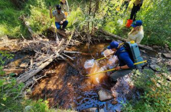 Moving day for a rare Colorado trout | Hatch Magazine