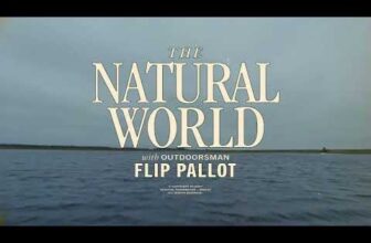 The Fiberglass Manifesto: THE FILSON JOURNAL