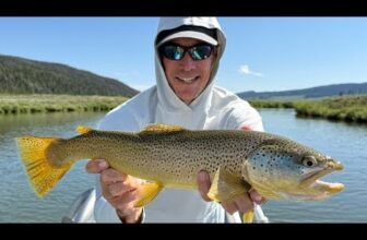 Two Tales from the Same Trip