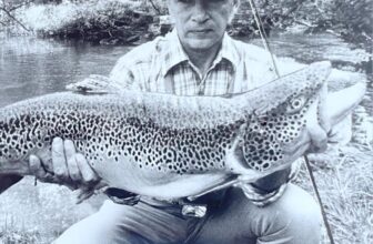 Video About Joe Humphreys Wins National Student Journalism Award