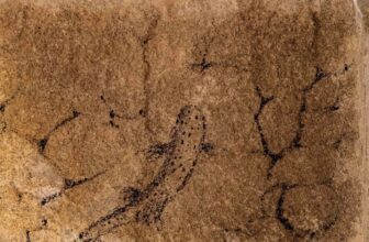 THE MISSION – Issue 53