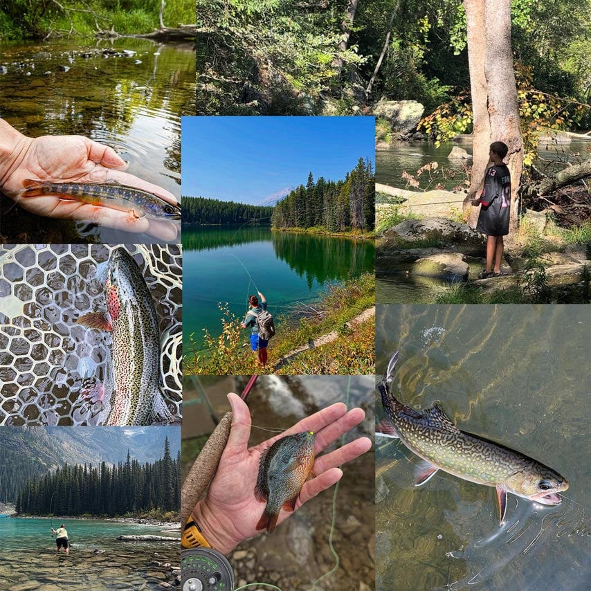 Photos: Week One of This Year’s “20 Days in September” Contest