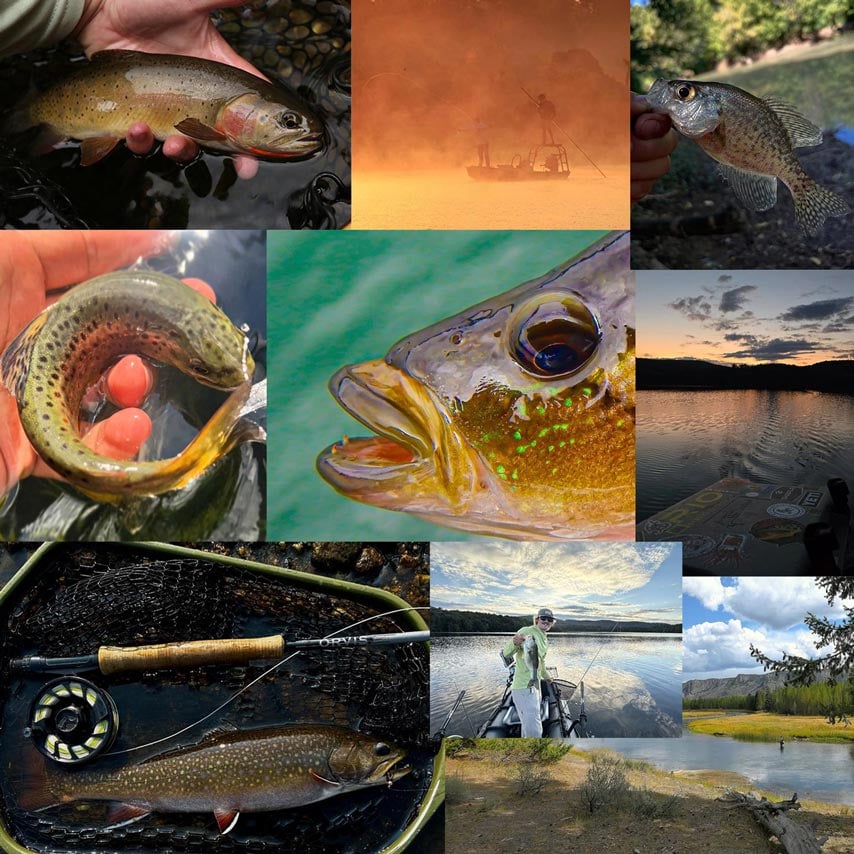 Photos: Week Two of This Year’s “20 Days in September” Contest