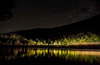 Unicorns of midnight | Hatch Magazine