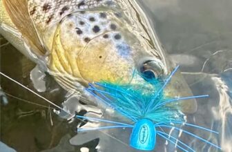 Video: Fly Fishing Outside the BOX