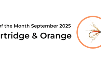 Flies To Fish to Catch Trout In September