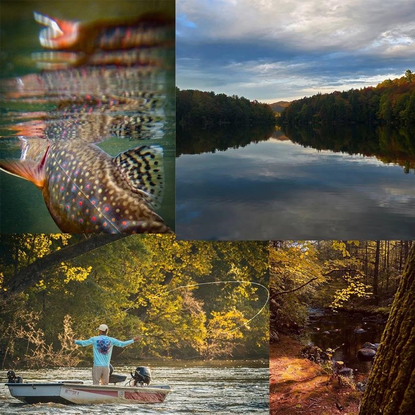 Photos: Week Three of This Year’s “20 Days in September” Contest