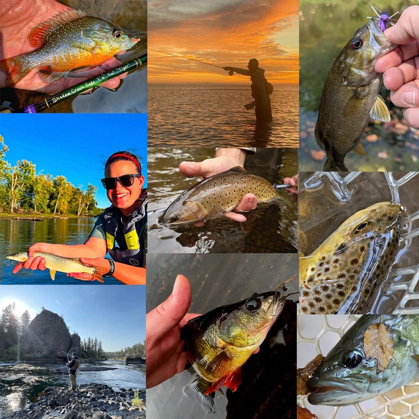 Photos: Week Four of This Year’s “20 Days in September” Contest