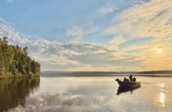 How to bury a horse | Hatch Magazine