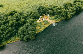 Fearful symmetry | Hatch Magazine