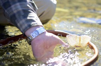 Not catching fish? Move your feet. | Hatch Magazine