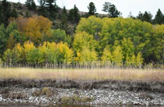 The Fiberglass Manifesto: MONTANA FLASHBACK