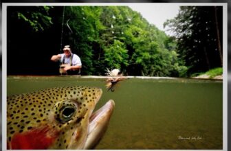 The Remarkable Story of Barry Beck’s Best-Selling Image