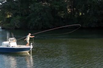 Video: Fly Casting as an Art Form