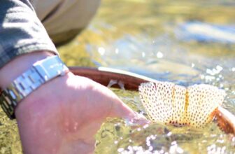 Good Advice: Move Your Feet