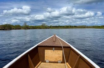 Salmon has been king on this Canadian river for millennia—what happens when another species takes over? | Hatch Magazine