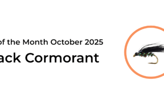 Flies To Fish to Catch Trout In October