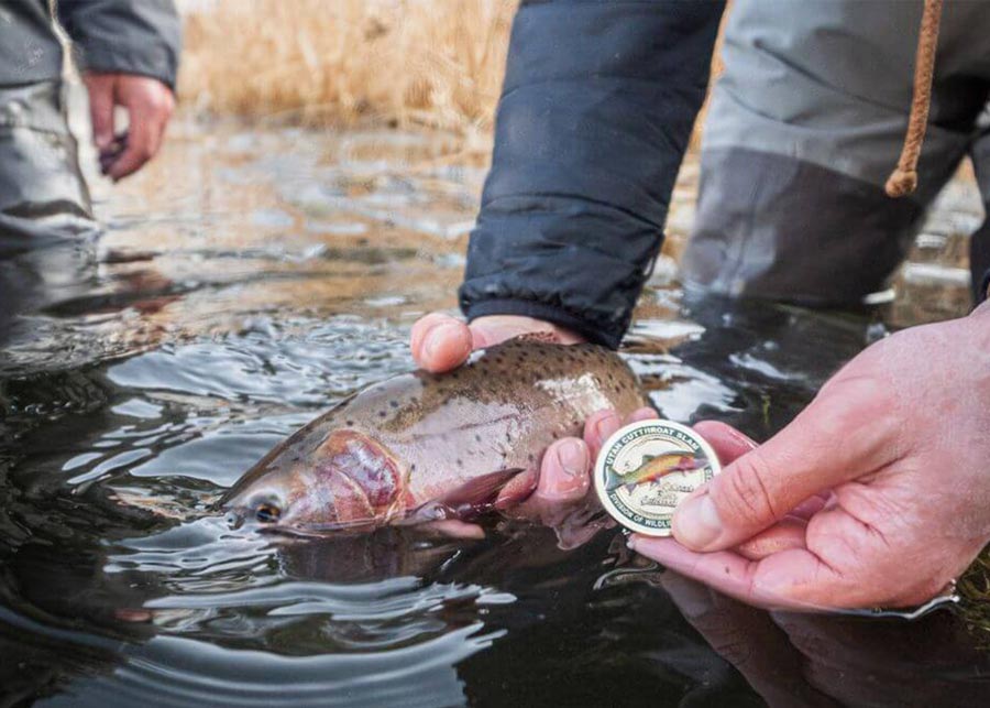 2,000th Angler Completes Utah Cutthroat Slam