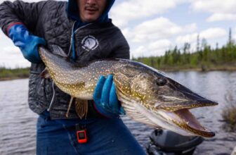 And then there’s pike fishing | Hatch Magazine