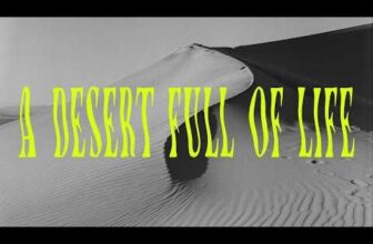 The Fiberglass Manifesto: TIGHT LOOPS