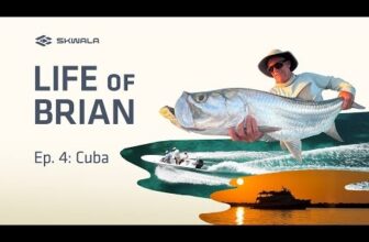 LIFE OF BRIAN – Episode 4: Experiencing Cuba – Fish, Food, & Culture