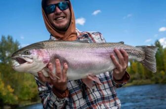 Battle for the Blue: Colorado’s “Jurassic Park” Controversy