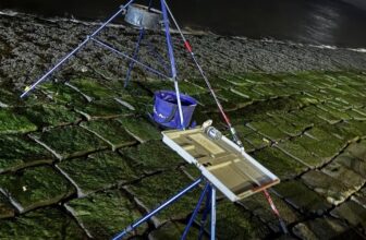 Newhaven Breakwater Delivers 800 Fish in ONE night!