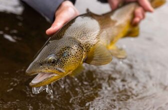 The top 10 stories of 2025 | Hatch Magazine